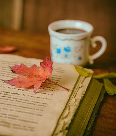 Open Book with Leaf on Page